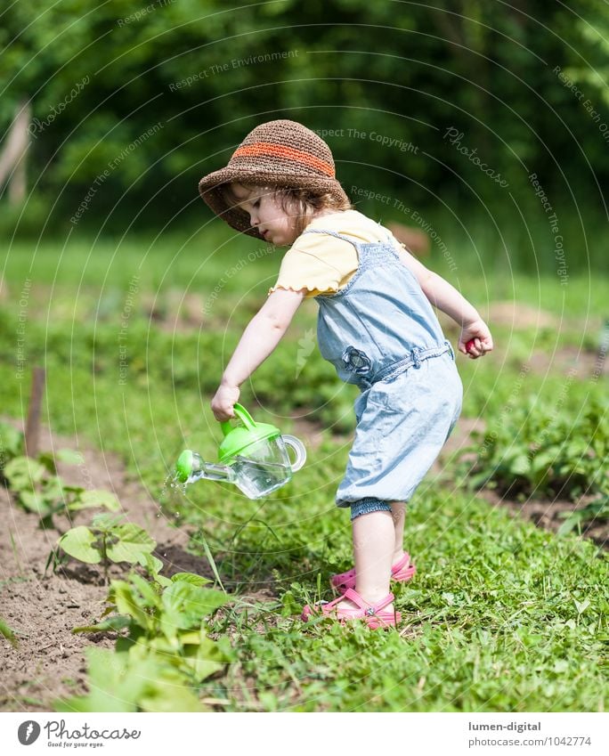 Little girl watering plants Vegetable Summer Garden Child Gardening Toddler Field Hat Watering can Work and employment Relaxation Healthy Bright Green Happy