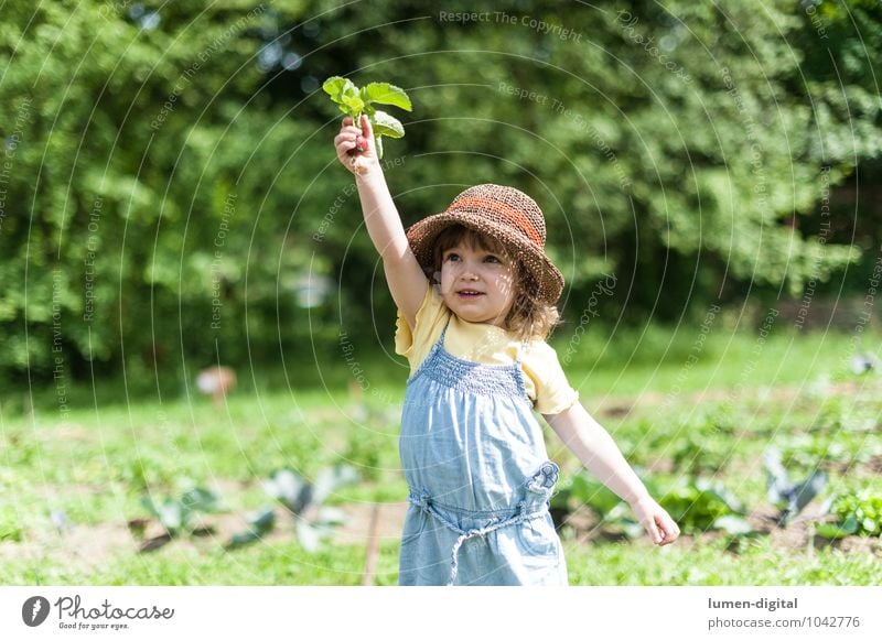 Child holding up radishes Vegetable Joy Summer Garden Gardening Human being Toddler 1 1 - 3 years Field Hat Laughter Stand Beautiful Cute Happiness