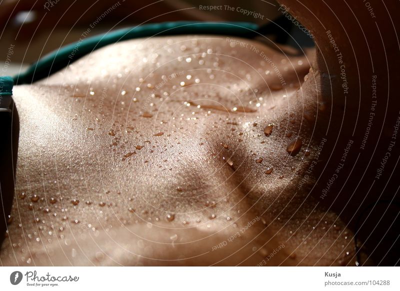 sunbath Sunbathing Woman Shoulder Vacation & Travel Wet Glittering Brown Summer Drops of water Neck Swimming & Bathing