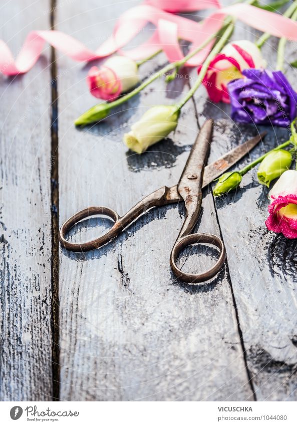 Flowers and old scissors on wet wooden table Lifestyle Style Design Leisure and hobbies Garden Decoration Plant Spring Summer Autumn Bouquet Bow Wood Water