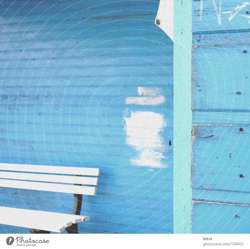 Mrs. Meier in peace Wooden wall Wooden house Wooden hut White Wooden bench Redevelop Redecorate Patch of colour Paintwork Blue aerosol aerosols Holiday at home
