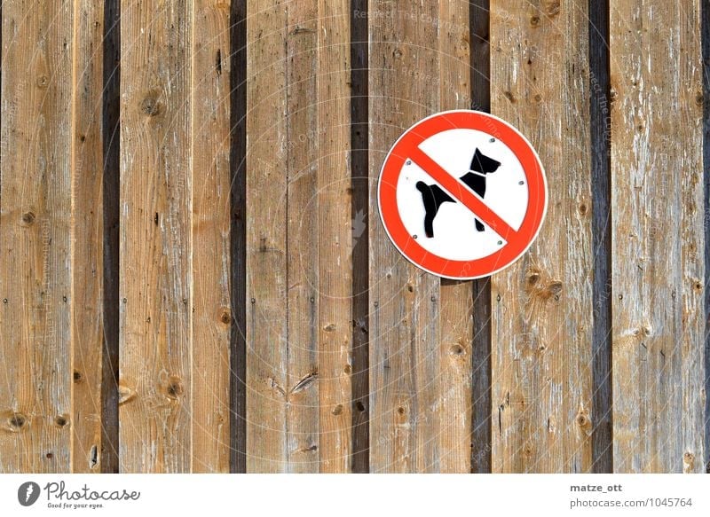 No dogs here, please!! Wall (barrier) Wall (building) Animal Pet Dog 1 Wood Bans Wooden wall Barn Signs and labeling Prohibition sign Walk the dog Shepherd dog