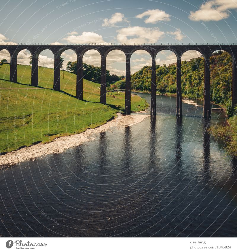 long legs are beautiful... Nature Landscape Sky Clouds Meadow Forest River Scotland Bridge Manmade structures Tourist Attraction Old Famousness Large Tall