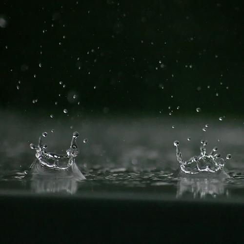 rain Water Drops of water Weather Storm Rain Thunder and lightning Wet Target Inject target photo Treetop Collision Crown Eternity standstill Snapshot Close-up