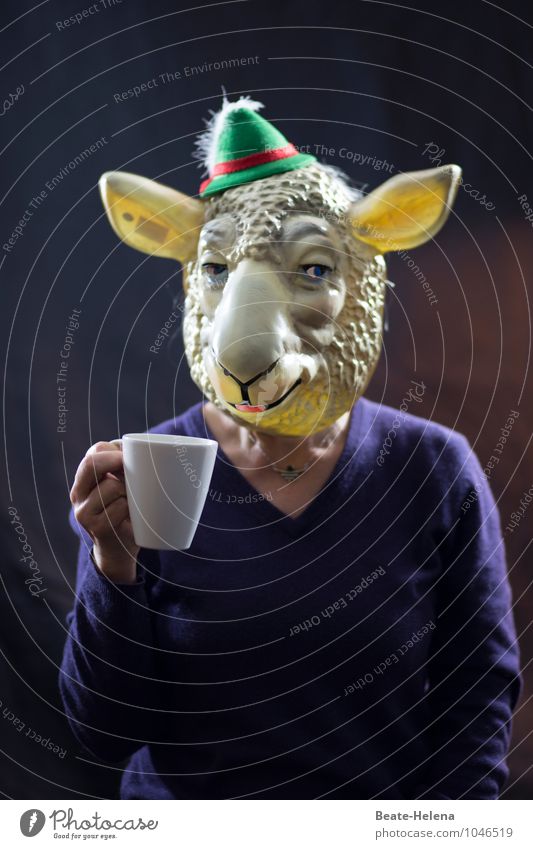 when lambs beat the ropes Drinking Hot drink Coffee Mug Joy Feminine Pelt Hat Animal Animal face Lamb Feasts & Celebrations To enjoy Smiling Illuminate