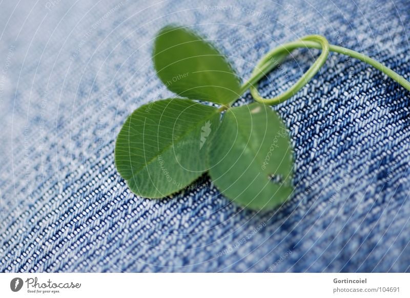 Can I have some more sugar? Happy Plant Clover Cloverleaf Blade of grass Pants Jeans Cloth Knot Good luck charm Green Optimism Four-leafed clover Stalk Weed