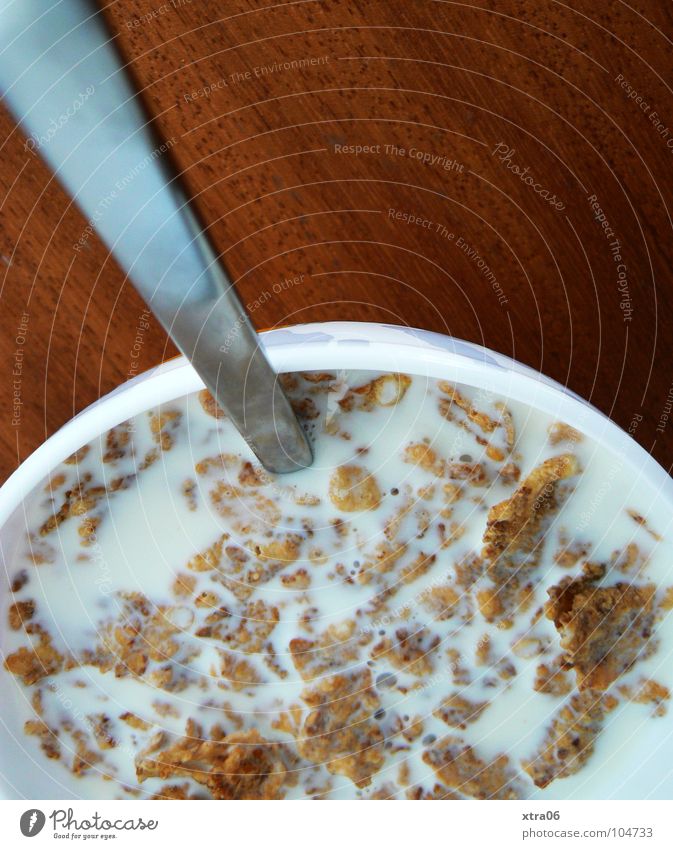 for mic: breakfast is served Breakfast Nutrition Healthy Fresh Milk Dairy Products Nutrients Whole milk Cornflakes Delicious Table Wooden table Cereals Spoon