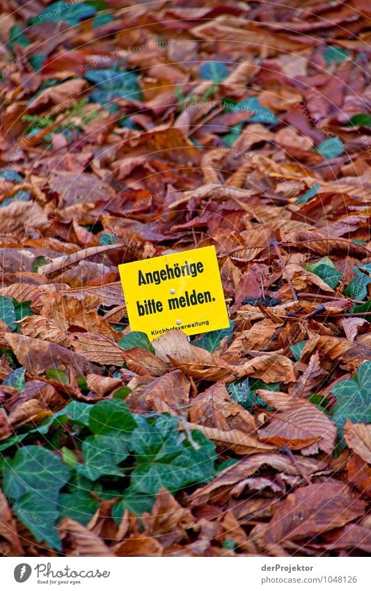 Please contact me Lifestyle Tourism Environment Nature Landscape Plant Elements Autumn Leaf Park Outskirts Overpopulated Tourist Attraction Sign