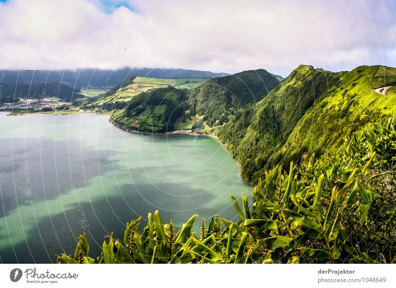 Lake Furnas in the Azores Vacation & Travel Tourism Trip Far-off places Summer vacation Mountain Environment Nature Landscape Plant Animal Elements