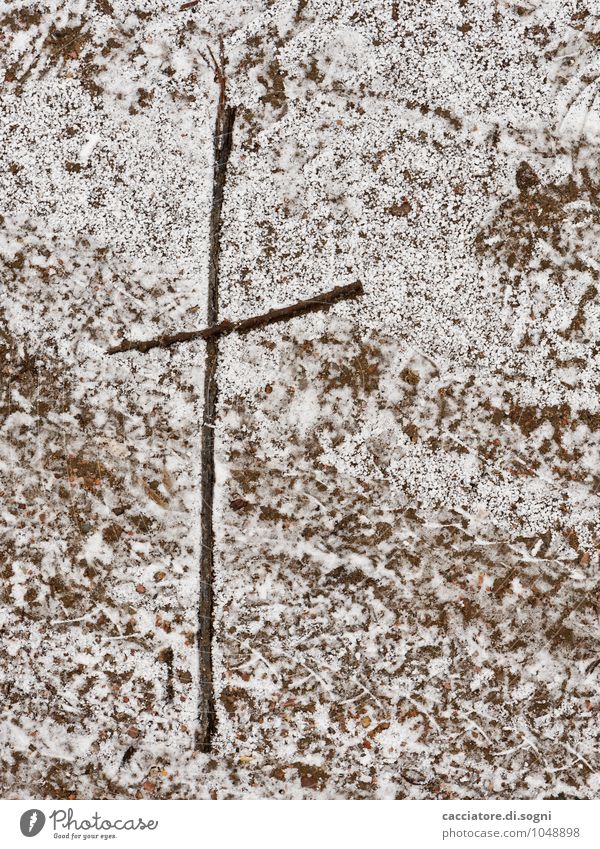 cross Winter Twig Traffic infrastructure Street Crucifix Wood Sign Thin Cold Small Gloomy Brown White To console Calm Hope Belief Death End Religion and faith