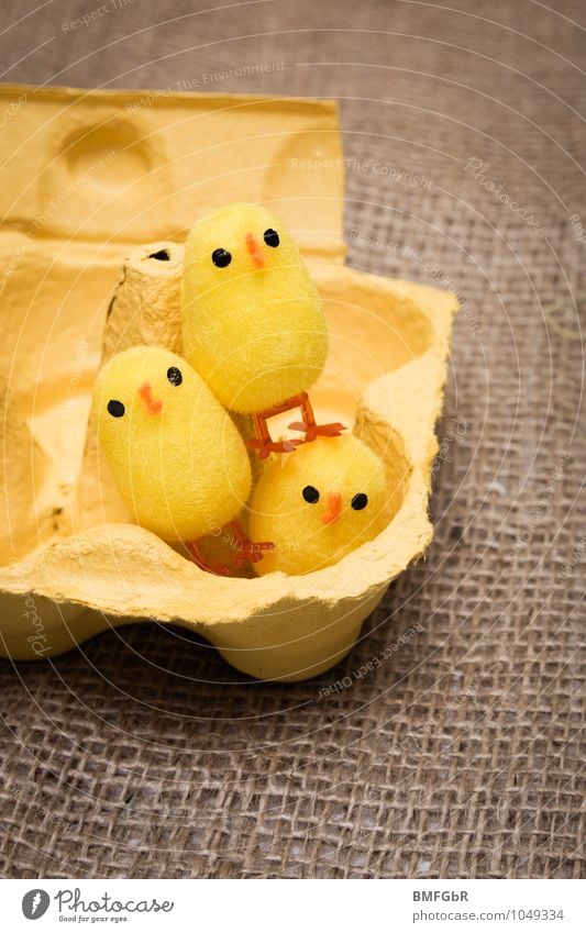 chick trio Chick Brash Happiness Kitsch Small Astute Natural Curiosity Cute Above Yellow Joy Happy Joie de vivre (Vitality) Spring fever Anticipation Enthusiasm