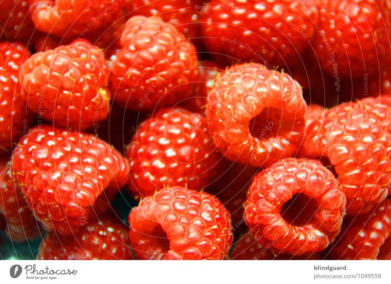 Raspberry Beret Food Fruit Organic produce Vegetarian diet Diet Fresh Healthy Delicious Sweet Blue Red Seed Dessert Colour photo Close-up Deserted Day