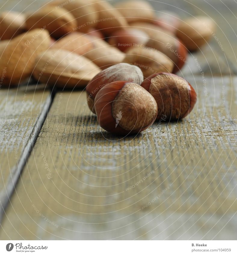 Squirrel's delight Nut 3 Almond Autumn Wood Harvest balcony