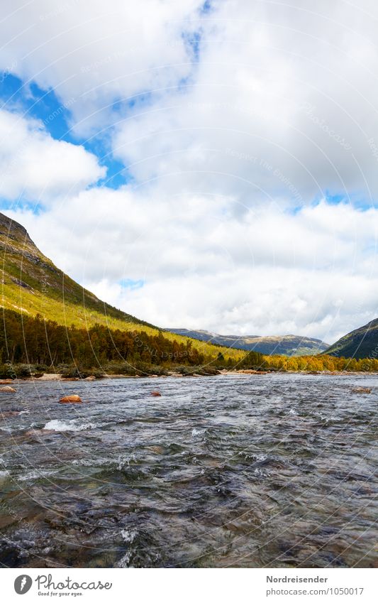 Reinheimen Freedom Nature Landscape Water Sky Clouds Summer Climate Forest Mountain River Fluid Wanderlust Loneliness Uniqueness National Park Norway Oppland