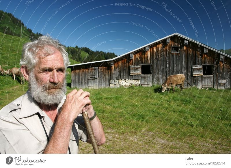 Mountain farmer 2 Agriculture Forestry Masculine Male senior Man Grandfather Senior citizen 1 Human being 60 years and older Environment Nature Landscape Summer