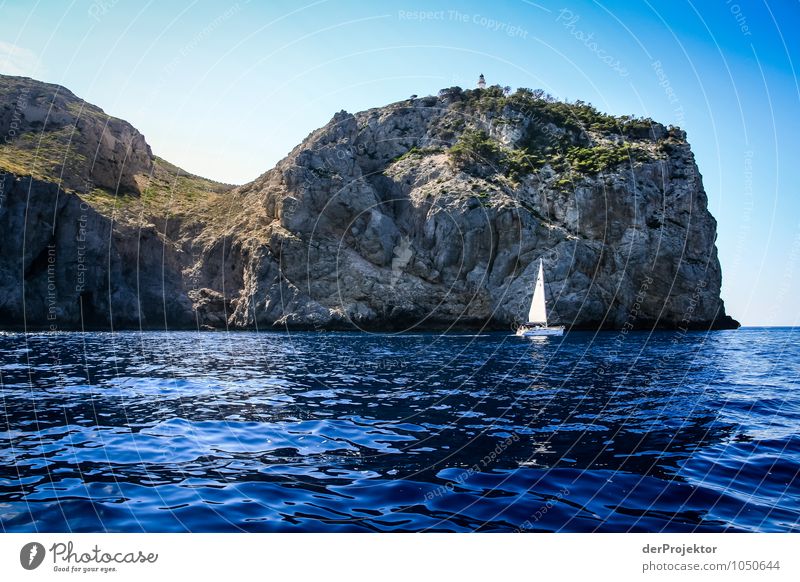 Mallorca from its beautiful side 54 - in the most beautiful colors Vacation & Travel Tourism Trip Adventure Far-off places Freedom Cruise Summer vacation