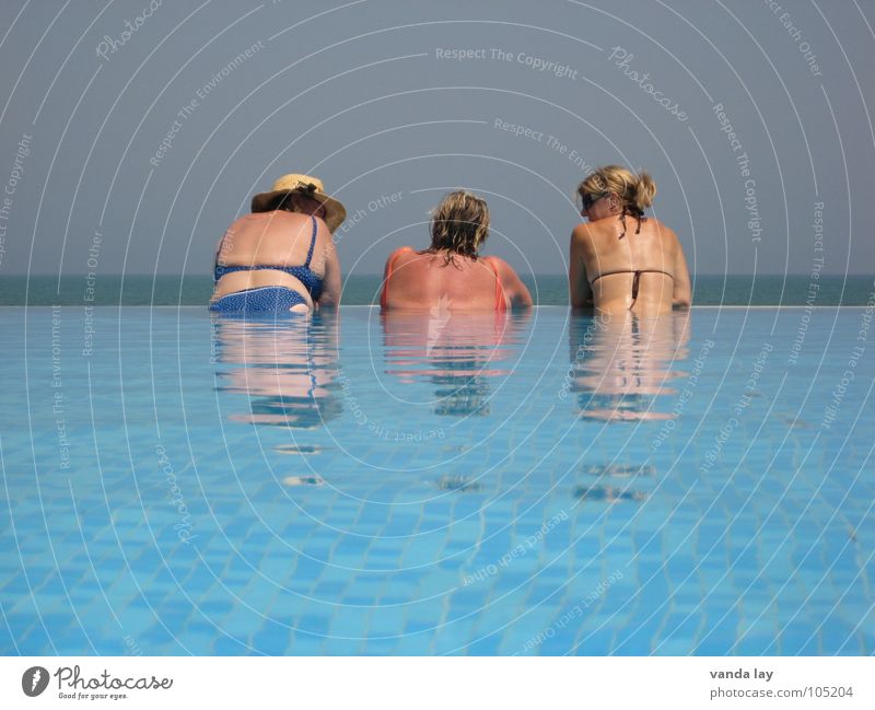 Three ladies from the grill Woman Old Sunbathing Brown To talk Together Ocean Swimming pool Summer Vacation & Travel Bikini Swimsuit Relaxation Wellness Coast
