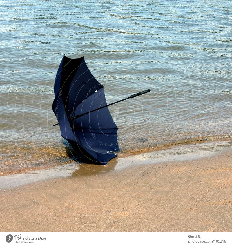 He's gone Umbrella Summer Beach Sandy beach Rhine Summery Lose Doomed Gust of wind Waves Surface of water Blue Cloth Material Things Protection Water River