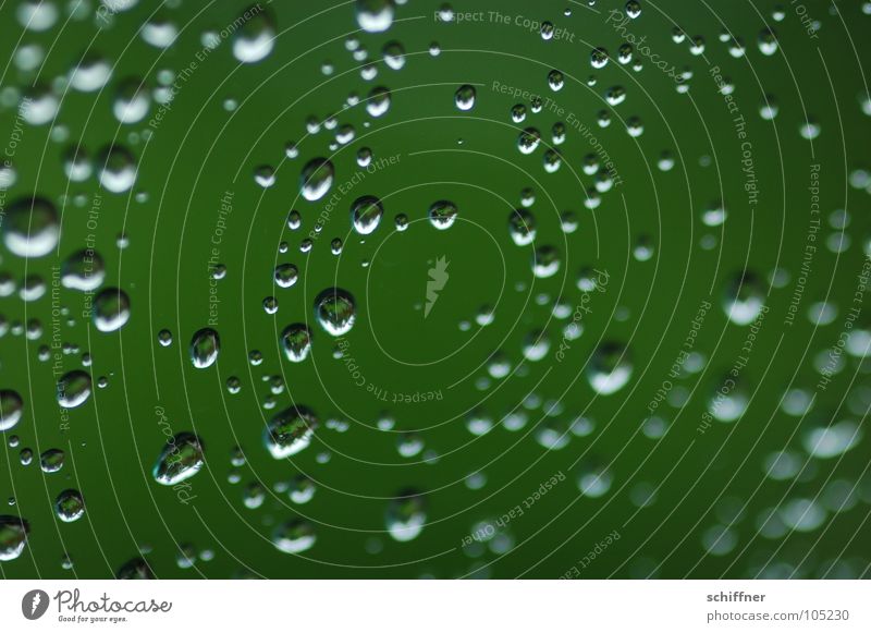 flurry of pearls Drops of water Hydrophobic Wet Rain Green Water Window pane Plant Shadow Macro (Extreme close-up)