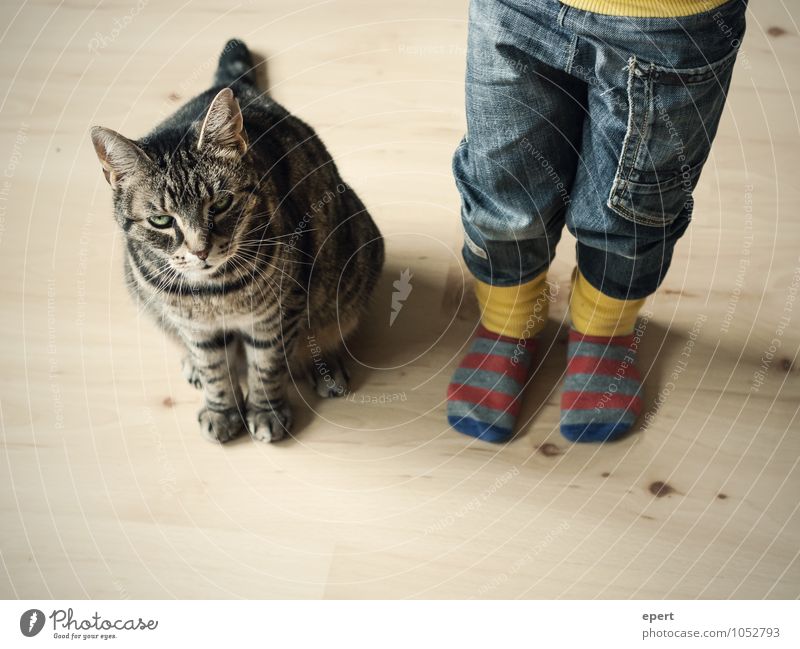 On patrol(s) Child Infancy Jeans Stockings Animal Cat Observe Wait Happiness Trust Together Curiosity Expectation Innocent Attachment Colour photo Interior shot