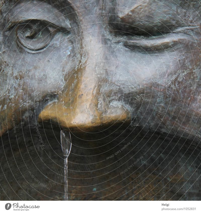 AST7 Bite... Water Statue Detail of face Eyes Nose Metal Walking Exceptional Uniqueness Wet Brown Gray Creativity Art Common cold Colour photo Subdued colour