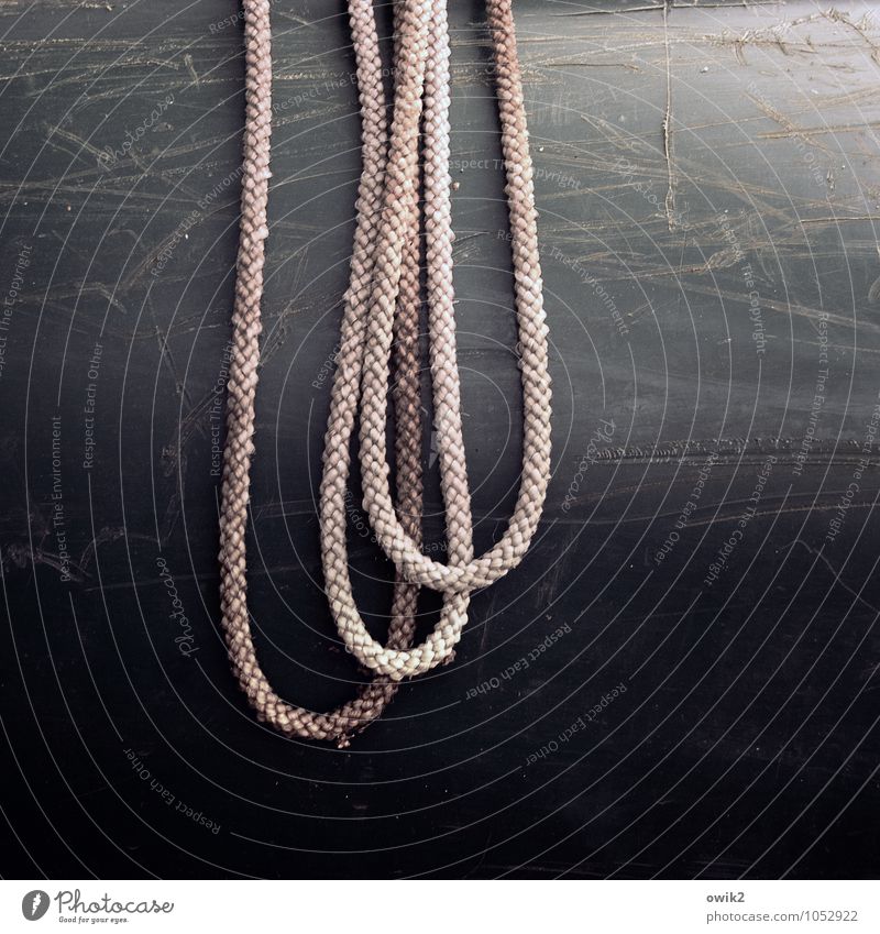 loop stitch Ship's side Rope Loop 3 Relaxation Lie Serene Patient Calm Scratch mark Gravity Dark Colour photo Subdued colour Exterior shot Close-up Detail