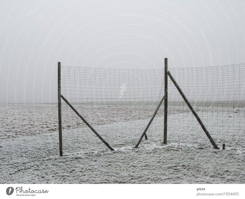 fence Nature Landscape Winter Bad weather Fog Ice Frost Snow Meadow Field Gray White Fence Fence post Barrier Wire netting fence Gloomy Far-off places Horizon