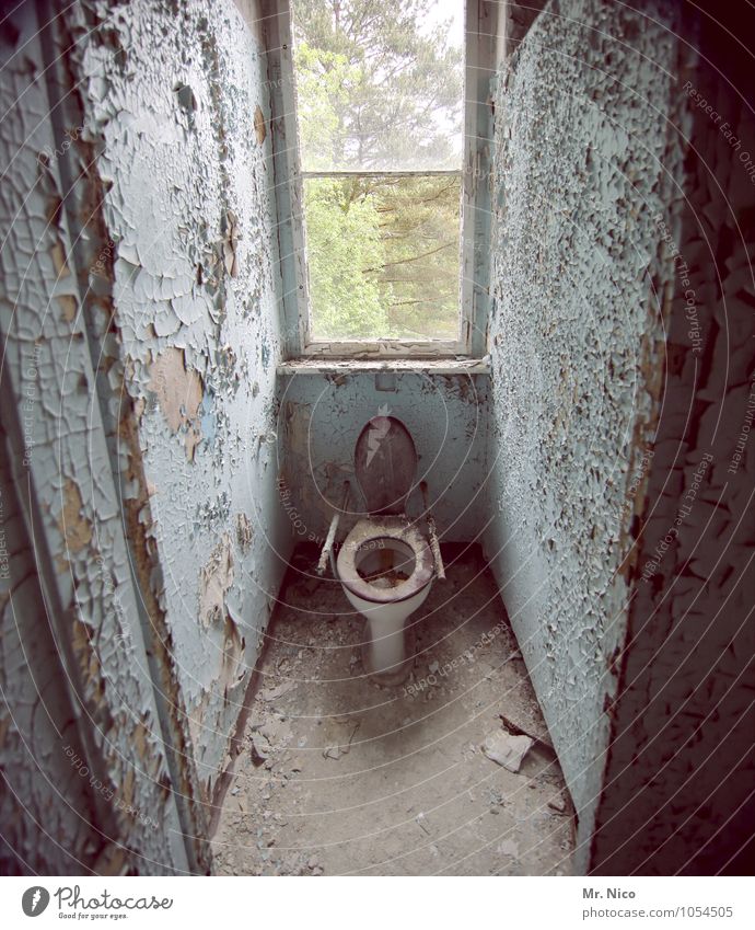 fucking photo Living or residing Flat (apartment) Redecorate Bathroom House (Residential Structure) Ruin Building Window Old Dirty Toilet Old building
