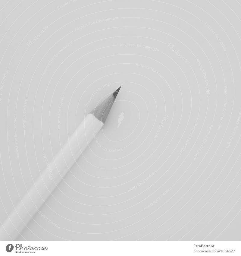 / Work and employment Office work Workplace Business Wood Line Lie Esthetic Gray Design Calm Pen Pencil Table Write Desk Draw Point White Creativity