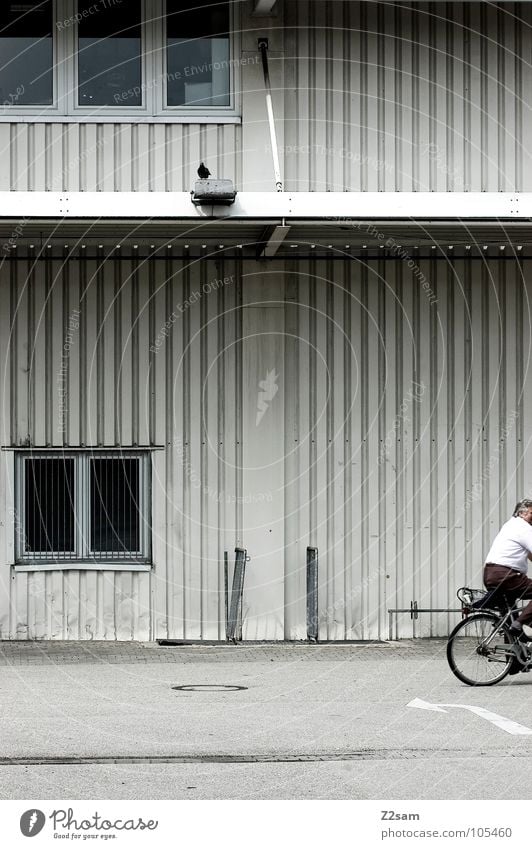 Nothing like home! Bicycle Driving Pigeon Minimal Window Tar Concrete Tin Corrugated sheet iron Closing time Man Masculine Shirt Vertical Simple Coil wire rope