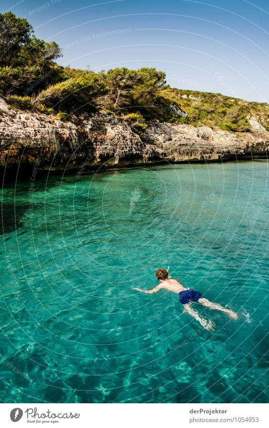 Mallorca from its beautiful side 29 - with snorkel Vacation & Travel Tourism Trip Summer vacation Sunbathing Swimming & Bathing Dive Environment Nature