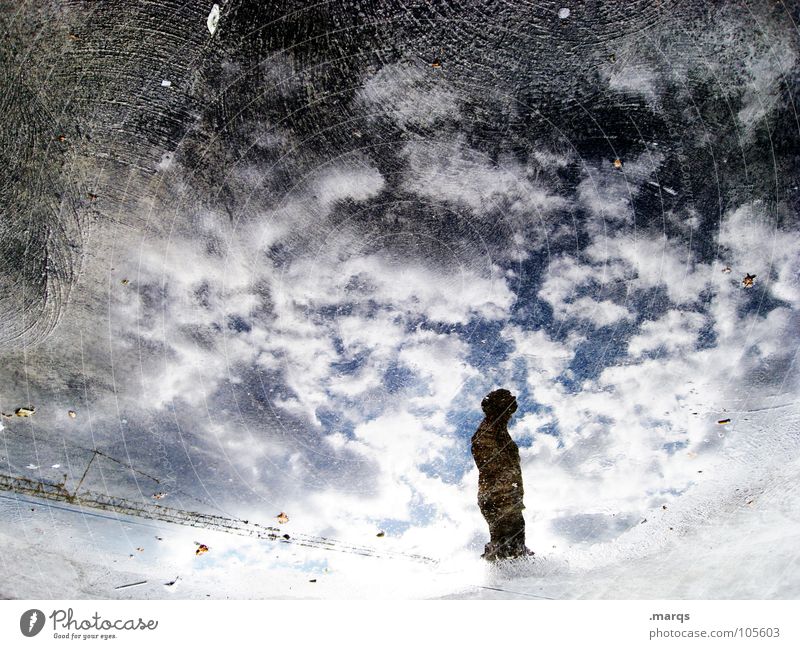 A thought Colour photo Exterior shot Experimental Abstract Copy Space left Copy Space top Silhouette Reflection Worm's-eye view Human being 1 Water Sky Clouds