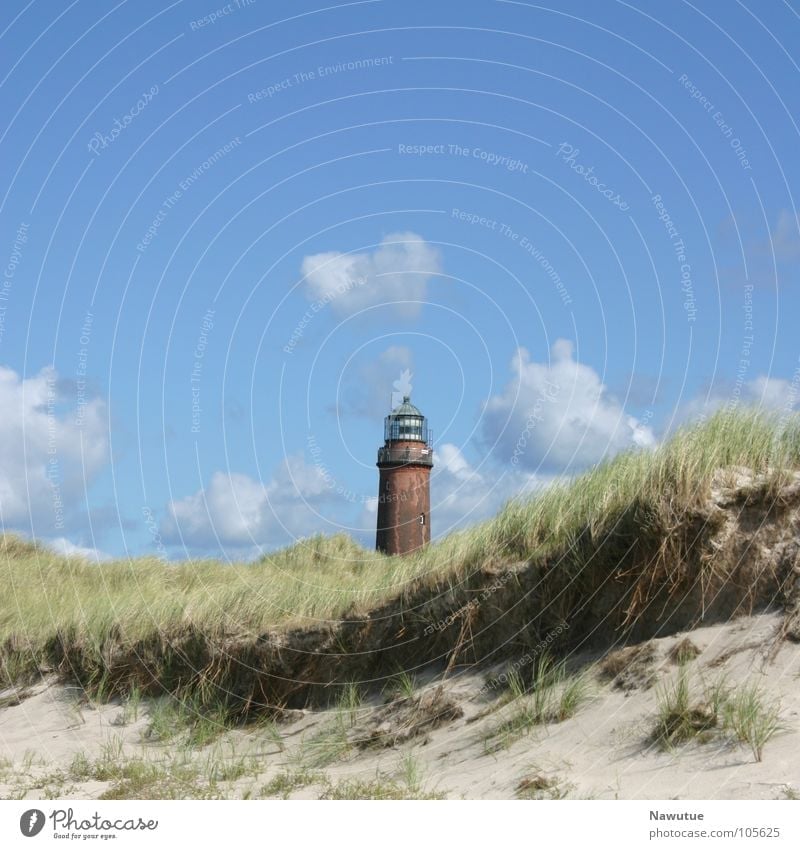 Lighthouse Prerow Beach Fischland Western Beach Summer Coast Baltic Sea Beach dune Nature