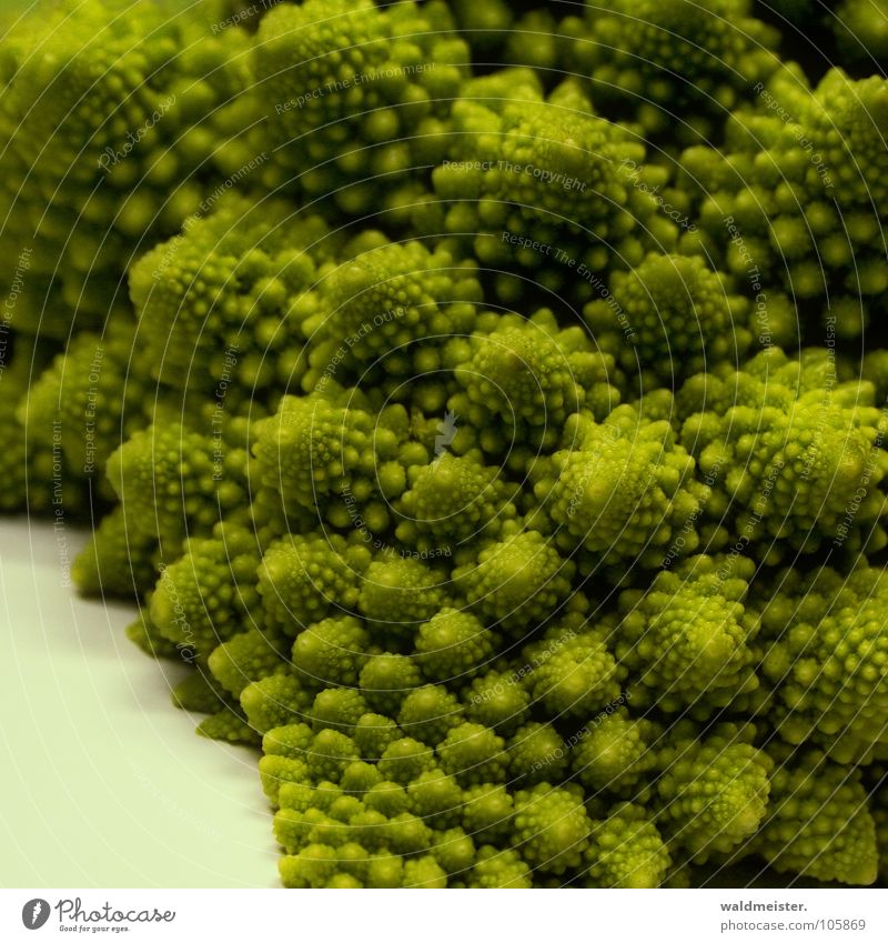Fractal vegetables Cauliflower Broccoli Vegetable Chaos Spiral Healthy Structures and shapes Vegetarian diet Vitamin Green Romanesco Romanescu