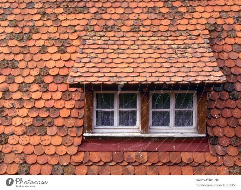 skylight Dormer Skylight Roof Brick House (Residential Structure) Wood Roof ridge Pattern Window Roofing tile Detail Old beaver tails Hut Stone Tile