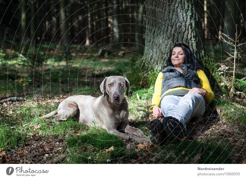 Young woman with a Weimaraner hunting dog chilling in the forest Wellness Harmonious Well-being Contentment Senses Relaxation Calm Hiking Human being Feminine