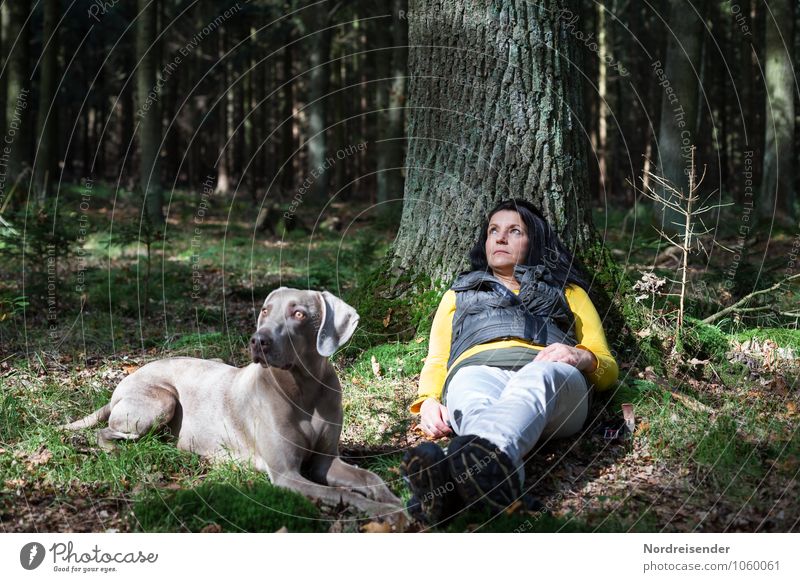 Young woman with Weimaraner hunting dog taking a break in the forest Wellness Senses Relaxation Calm Meditation Hiking Human being Feminine Woman Adults 1