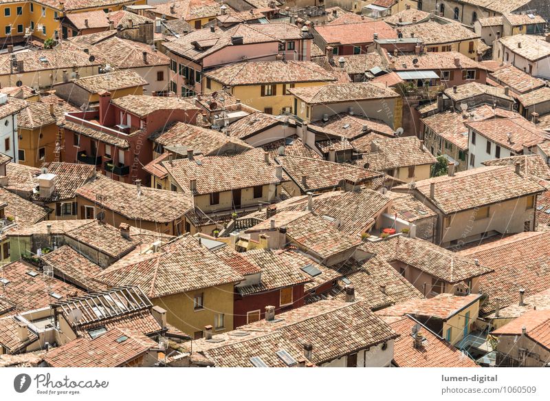 Roofs of an Italian city House (Residential Structure) Landscape Town Downtown Old town Overpopulated Deserted Detached house Manmade structures Wall (barrier)