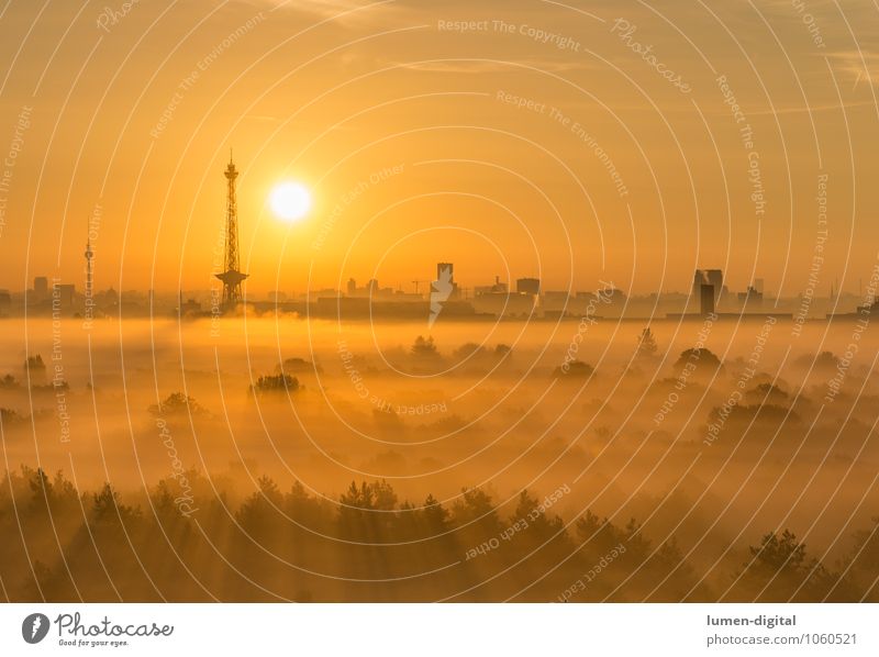 Sunrise over Berlin Clouds Fog Tree Forest Germany Town Capital city High-rise Tower Roof Tourist Attraction Anticipation Image Wake up Television tower