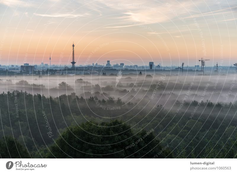 Berlin after sunrise Clouds Fog Tree Forest Germany Europe Town Capital city Skyline High-rise Roof Beginning Tourism Wake up Television tower