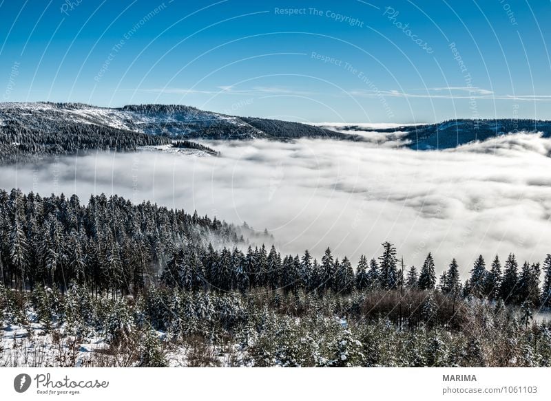 winter hike in the northern Black Forest on a sunny day Calm Tourism Winter Mountain Environment Nature Landscape Clouds Tree Hill Cold Gray White Wanderlust