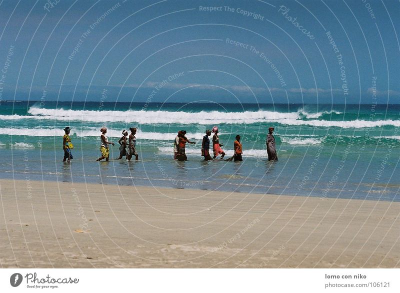 fish Madagascar Woman Work and employment Beach Moody Africa Ocean Fishing (Angle) Multiple Colour