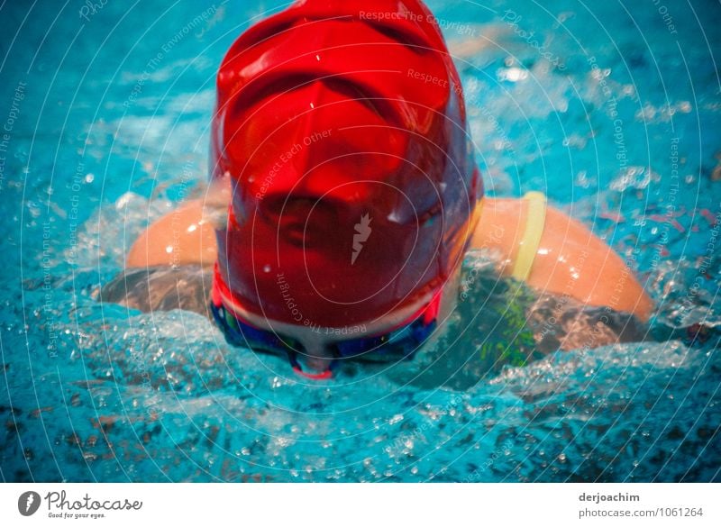 Red is fast. Girl at the Breaststroke of the last 2 meters with red swim cap at the Swimming Carnival Joy Athletic Swimming & Bathing Summer Swimming pool