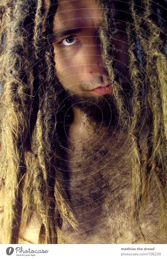 Mathias The Dread XI Dreadlocks Felt Long Dark Vessel Man Masculine Strong Threat Shoulder Concealed Nerviness Visual spectacle Shadow play Anger