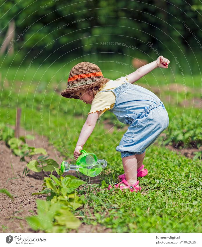 Child pours vegetable patch Summer Toddler Infancy Life 1 Human being 1 - 3 years Beautiful weather Plant Foliage plant Agricultural crop Sustainability Nature