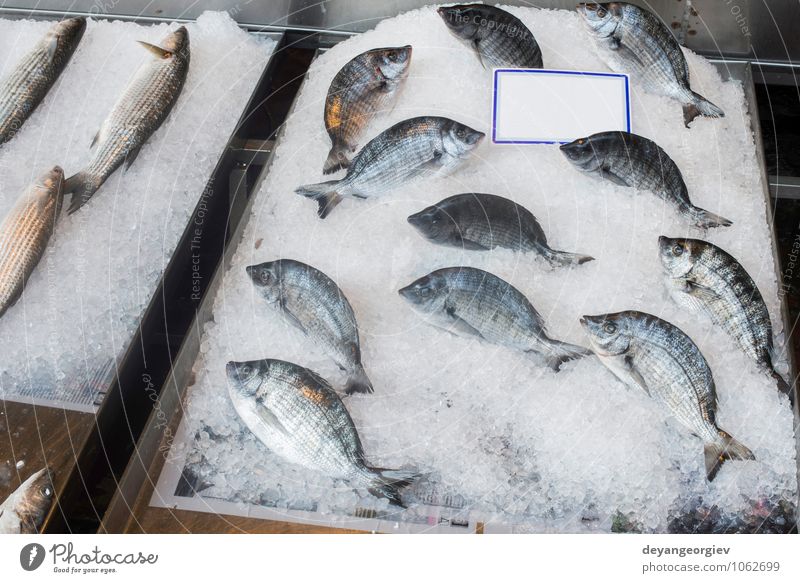 Fish on ice in the market. Seafood Shopping Industry Animal Sell Fresh Delicious bream Frozen Raw Storage Sale Salmon Supermarket Protein uncooked Colour photo