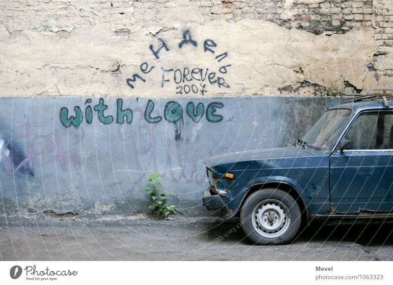 Backyard with Love Trip Adventure Plant Foliage plant Moscow Russia Town Wall (barrier) Wall (building) Facade Vehicle Car Vintage car Sign Characters Old