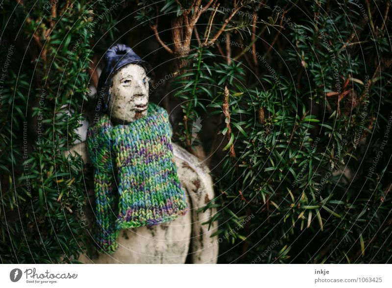 Dorothea from the yew Handcrafts Knit Autumn Winter Foliage plant Yew Scarf Cap Figure Clay pottered Looking Discover Mysterious Hidden Look out Colour photo