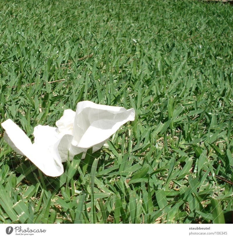 blanco en verde Summer Spain Green White Handkerchief Meadow Grass Trash Pure Clean Pigeon Safety Healthy Peace snot-nosed nose Rag Dirty