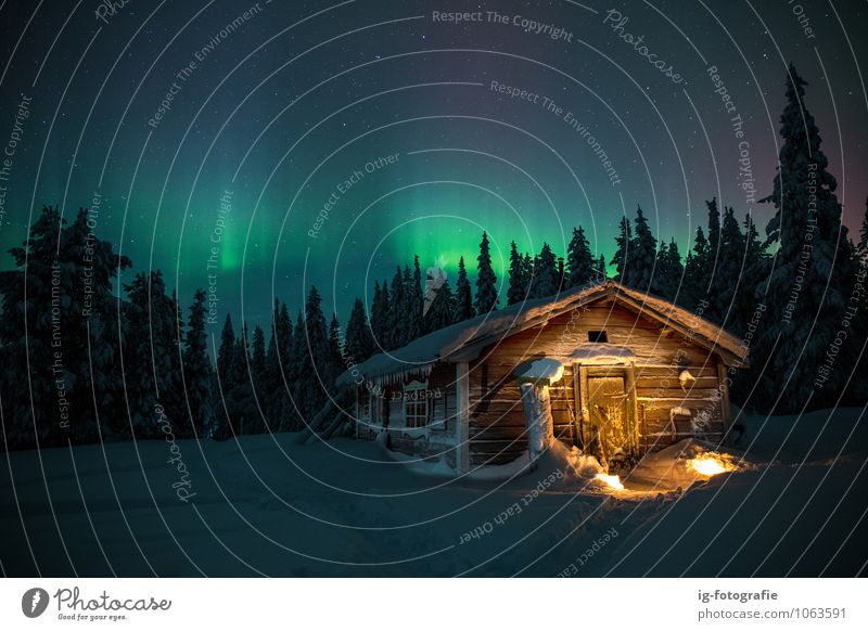 Northern lights above traditional wooden house in sweden Nature Sky Beautiful weather Aurora Borealis Forest Emotions Patient Colour photo Exterior shot